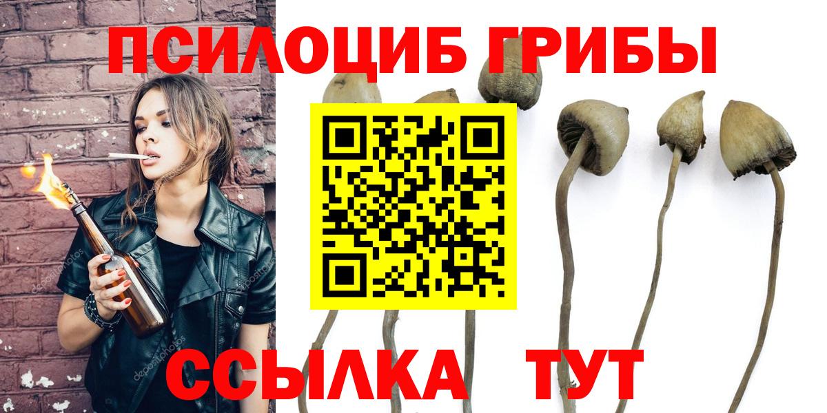 Псилоцибиновые грибы Psilocybine cubensis Кушва